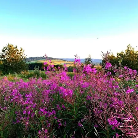 Tranquil Escape In Rauschenbach, Cleaning Included Apartment *